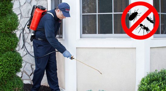 Havsa Akrep İlaçlama böcek ilaçlama ve haşere kontrolü — ilaclama-tr.com